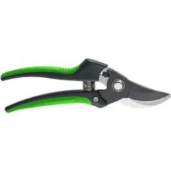 Green Pruning Shears